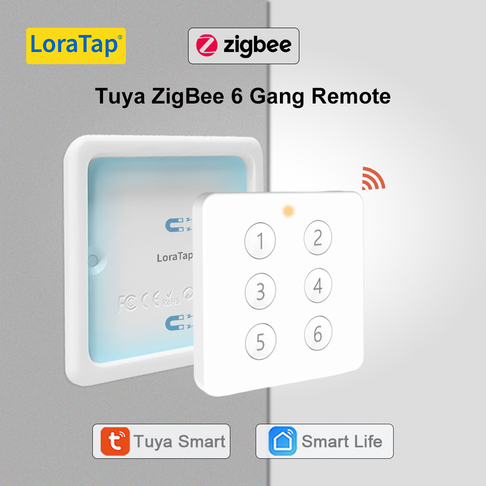 Interrupteur sans fil Tuya - double interrupteur - ZigBee 3.0